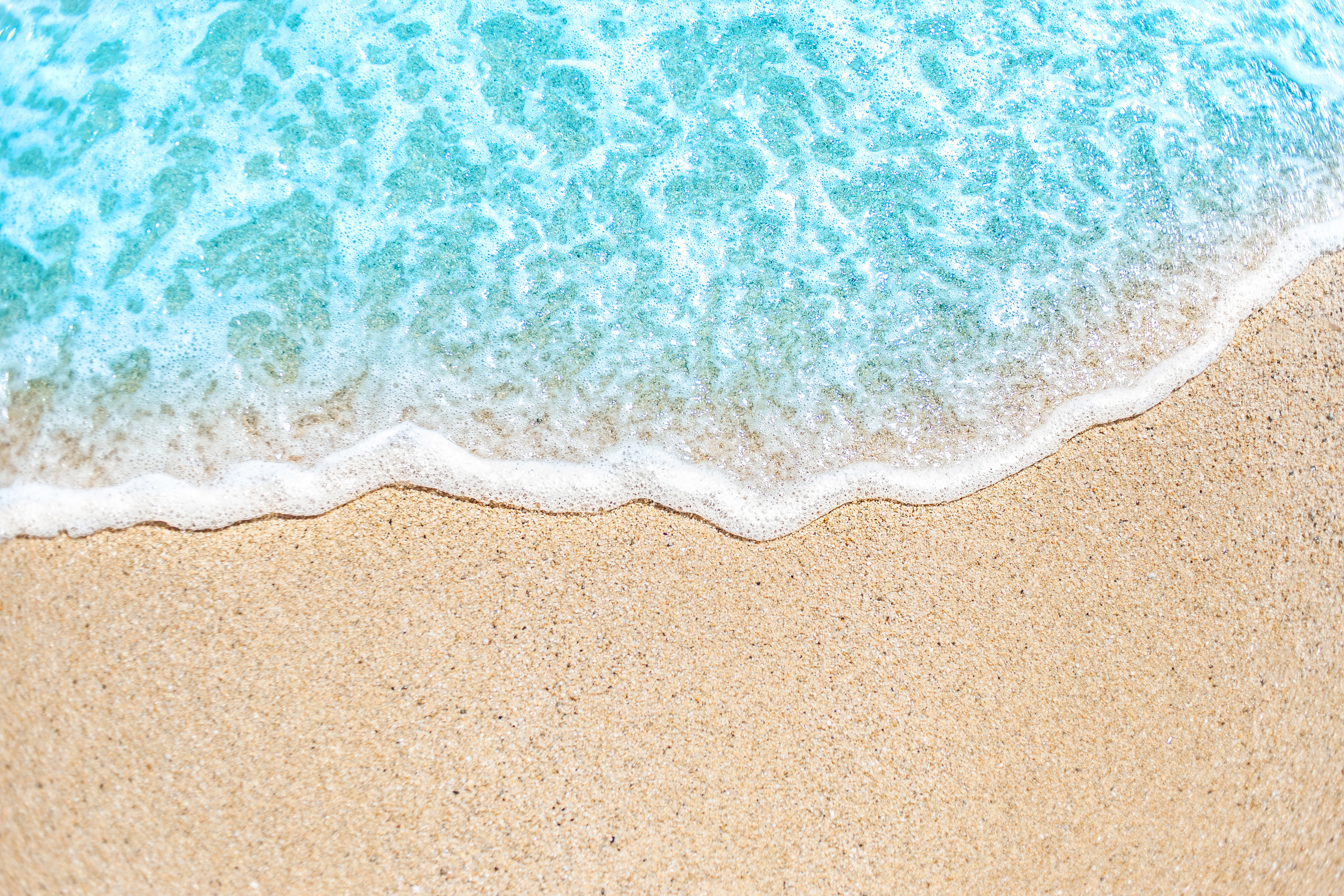 Summer Background with Soft Wave 